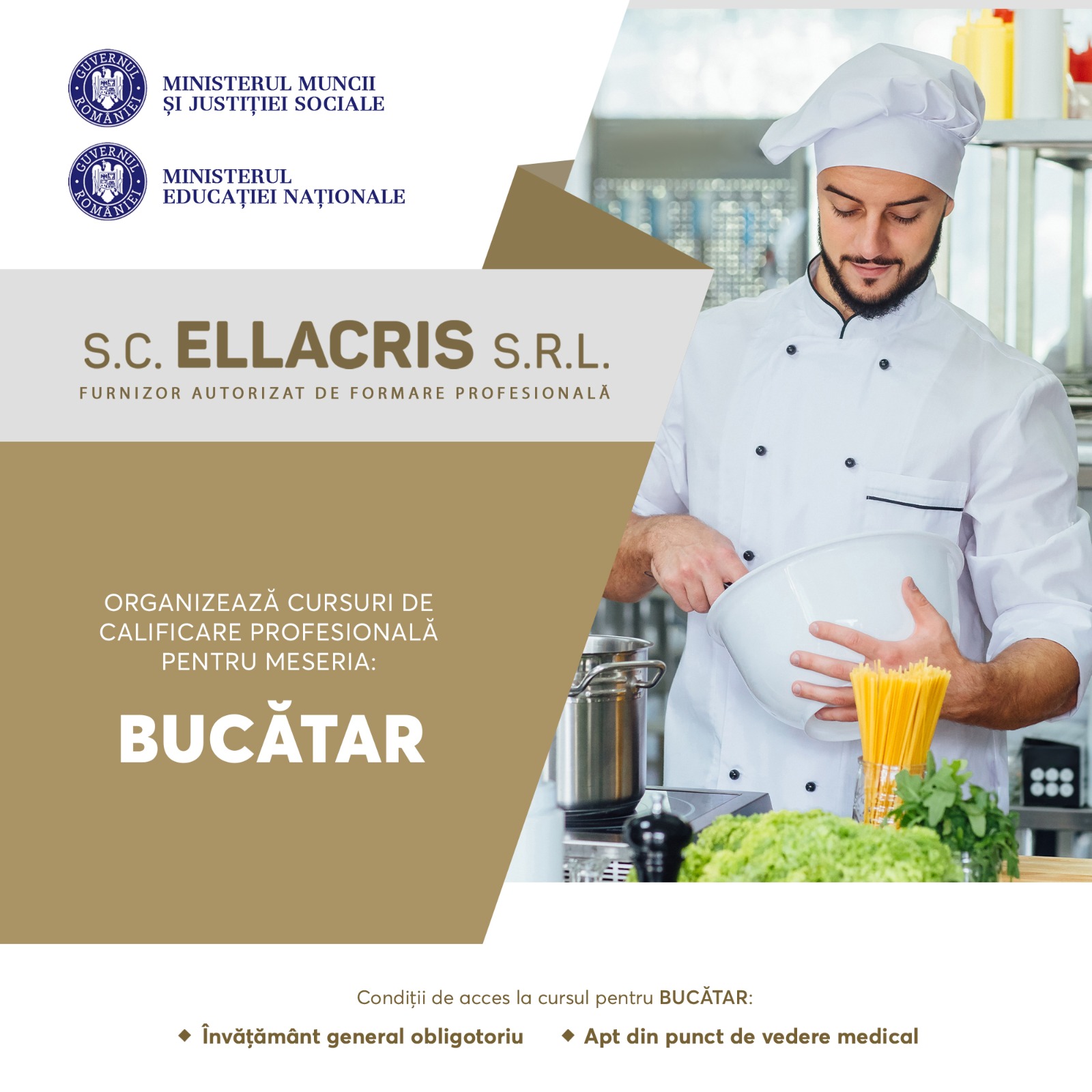 bucatar