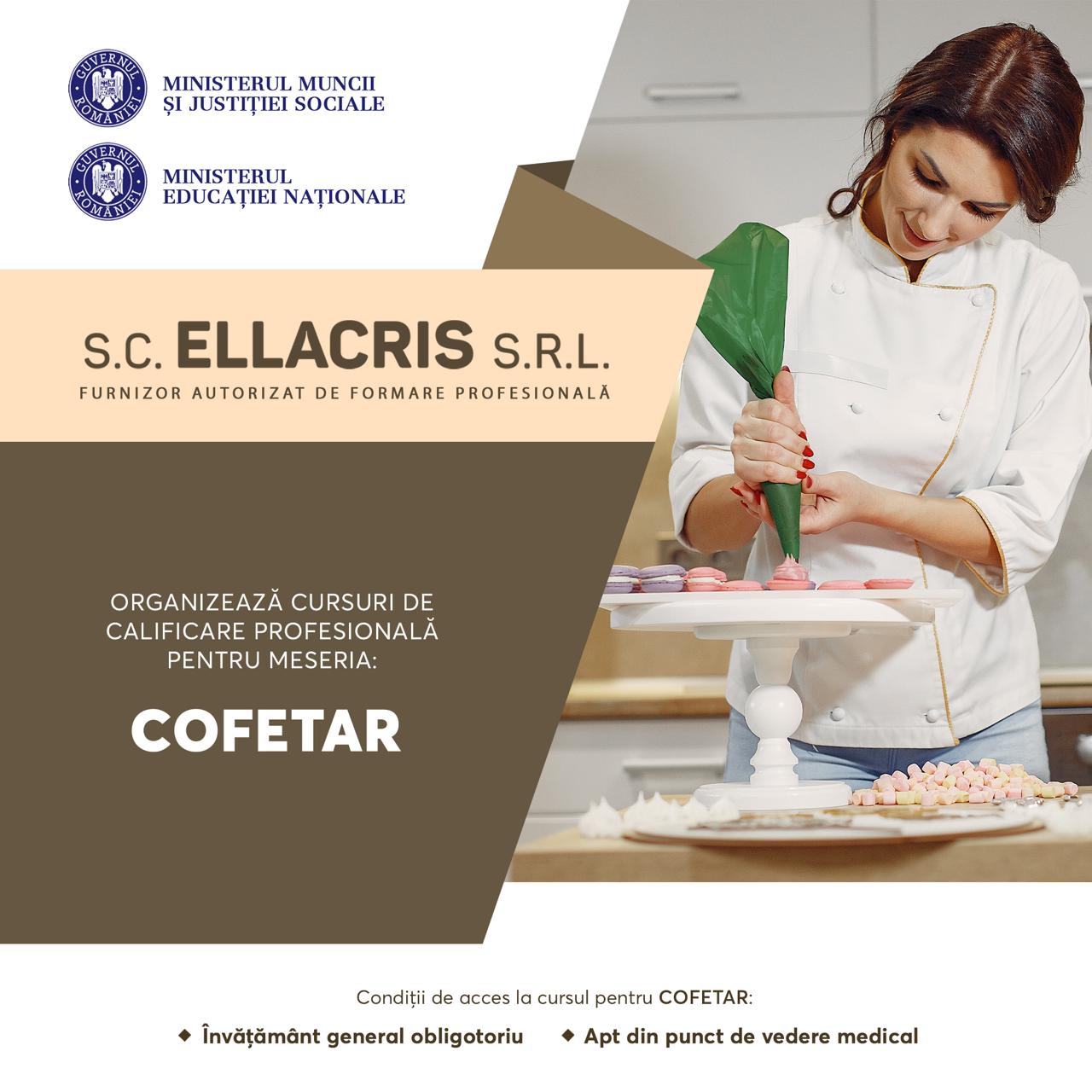 curs bucatar